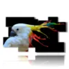 painting parrot color painting - version: 10 pannelli 186x105cm