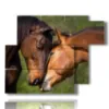 paintings famous horses in courtship - version: 6 pannelli 122x96cm