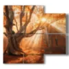 paintings of trees in an exceptional sunset - version: 4 pannelli 91x85cm