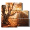 paintings of trees in an exceptional sunset - version: 5 pannelli 102x93cm