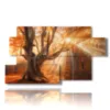 paintings of trees in an exceptional sunset - version: 7 pannelli 157x90cm