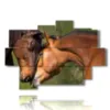 bilder beruehmter pferde beim balz - version: 9 pannelli 164x114cm