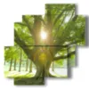 quadri con albero col sole tra i rami - version: 4 pannelli 77x78cm