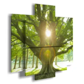 Cuadros con árbol y sol.