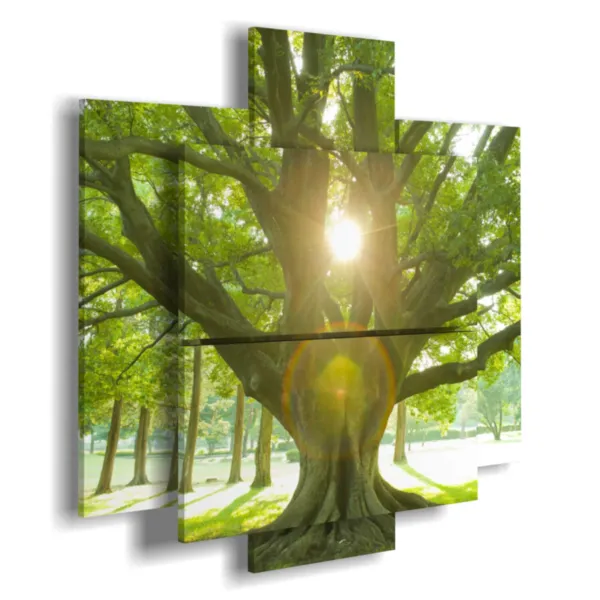 Bilder mit Baum und Sonne