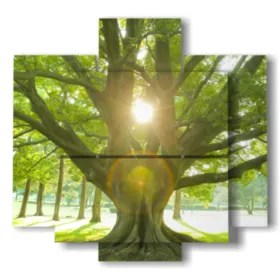 paintings with a tree