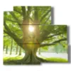 bilder mit baum mit sonne im geaest - version: 5 pannelli 102x93cm