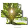 bilder mit baum mit sonne im geaest - version: 5 pannelli 104x92cm