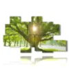 paintings with tree with the sun between the branches - version: 8 pannelli 171x100cm