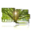 tableaux avec arbre avec le soleil dans les branches - version: 10 pannelli 183x100cm