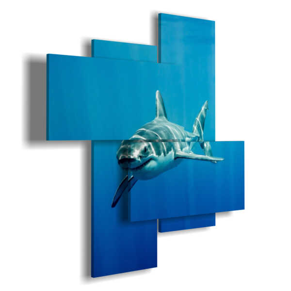 tableau avec poisson peint requin entrant