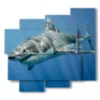 tableaux requin dans le bleu profond - version: 5 pannelli 106x98cm