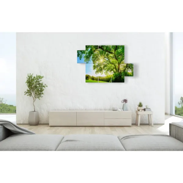 Framed paintings with trees