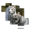 tableaux tigre en couple - version: 6 pannelli 127x110cm