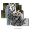 paintings tigre in pairs - version: 5 pannelli 104x92cm