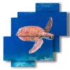 quadri astratti pesci con tartaruga marina - version: 4 pannelli 77x78cm