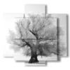 bild winterbaum - version: 5 pannelli 89x85cm