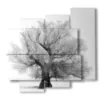 bild winterbaum - version: 5 pannelli 106x98cm