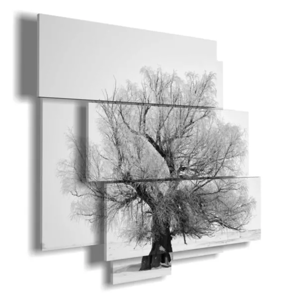 quadri albero