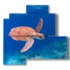 tableaux abstraits poisson avec tortue de mer - version: 4 pannelli 83x78cm