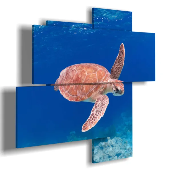 Abstract paintings of fish with a sea turtle