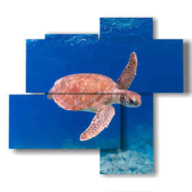 abstract paintings fish with sea turtle