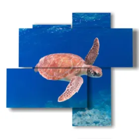 Abstrakte Bilder Fische