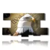 painting eagle of prey - version: 8 pannelli 186x97cm
