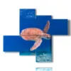 abstract paintings fish with sea turtle - version: 4 pannelli 117x97cm