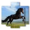 cuadros caballo de salto - version: 5 pannelli 89x85cm