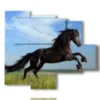 quadri cavallo in salto - version: 5 pannelli 104x90cm