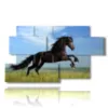 paintings jumping horse - version: 7 pannelli 157x90cm