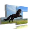 Jumping horse paintings