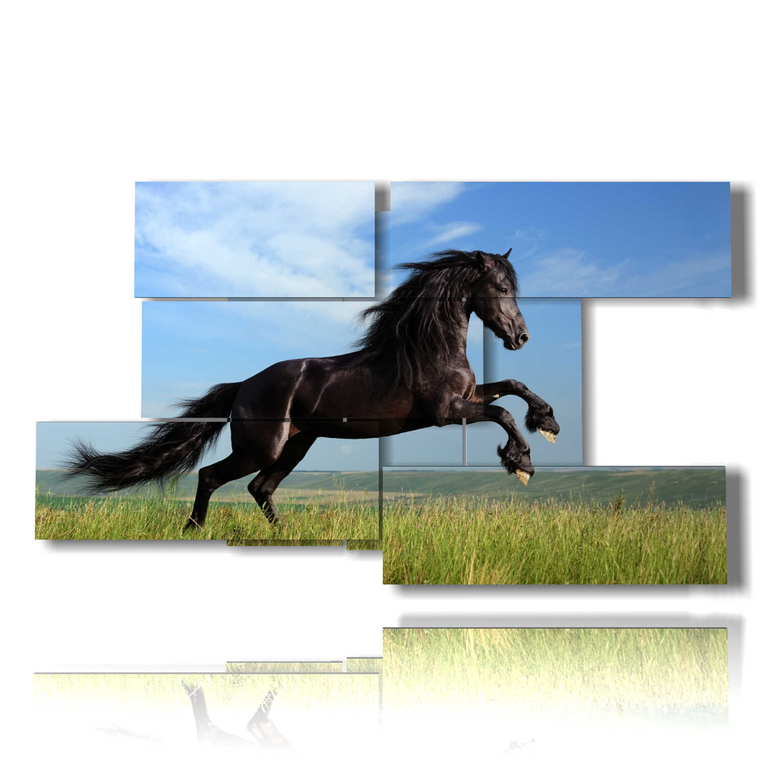 quadri cavallo in salto 3D MULTILIVELLO design by DUUDAART - 