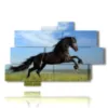 cuadros caballo de salto - version: 10 pannelli 173x114cm