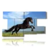 quadri cavallo in salto - version: 9 pannelli 177x101cm