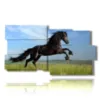 paintings jumping horse - version: 10 pannelli 183x100cm