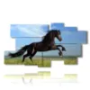 paintings jumping horse - version: 9 pannelli 184x100cm