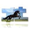 quadri cavallo in salto - version: 9 pannelli 187x110cm