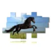 quadri cavallo in salto - version: 19 pannelli 260x152cm