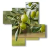 tableaux d oliviers modernes - version: 4 pannelli 94x98cm