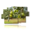 paintings of modern olive trees - version: 9 pannelli 171x108cm