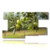 paintings of modern olive trees - version: 9 pannelli 177x101cm