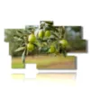 paintings of modern olive trees - version: 9 pannelli 182x107cm