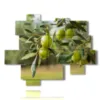 paintings of modern olive trees - version: 12 pannelli 184x146cm