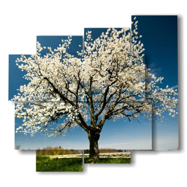 tableaux arbres en fleurs