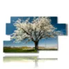 paintings beautiful blooming trees in spring - version: 7 pannelli 157x90cm