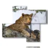 painting with african animals - version: 4 pannelli 94x77cm
