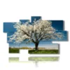 paintings beautiful blooming trees in spring - version: 9 pannelli 182x107cm