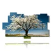 paintings beautiful blooming trees in spring - version: 11 pannelli 198x112cm
